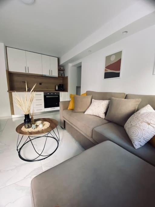 Barkon Apartment Ioannina Bagian luar foto