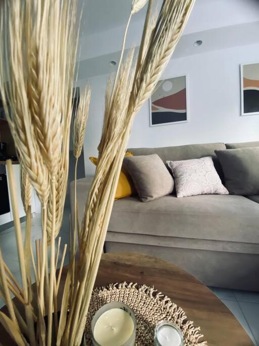 Barkon Apartment Ioannina Bagian luar foto